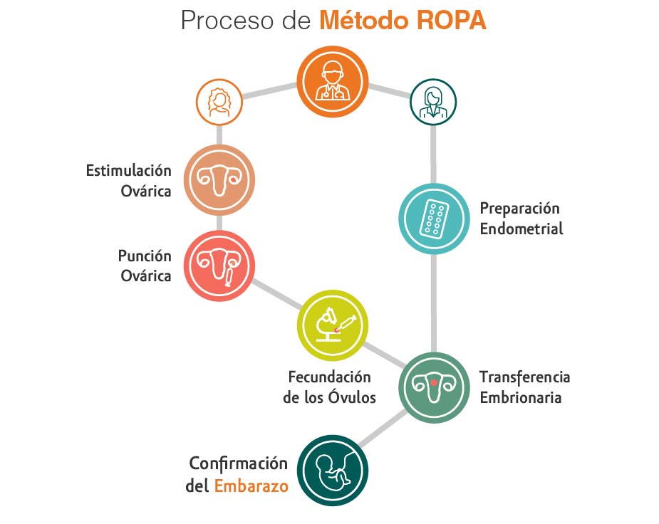 proceso-metodo-Ropa